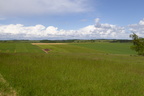 P1020394