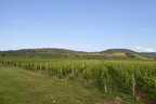 P1020594