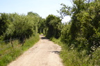 P1020681