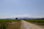 P1020997
