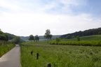 Detmold - Einbeck