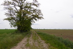 P1050404