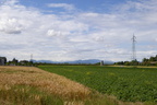 P1030562 (605bezoeken) P1030562