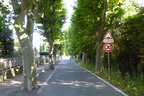 P1030699